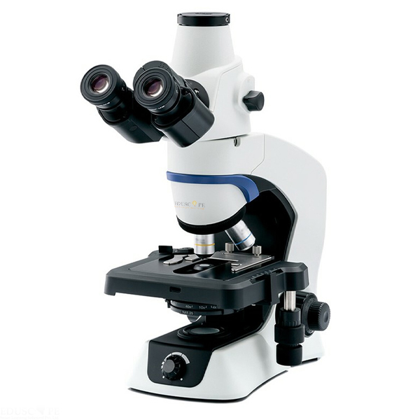 Trinocular Microscope
