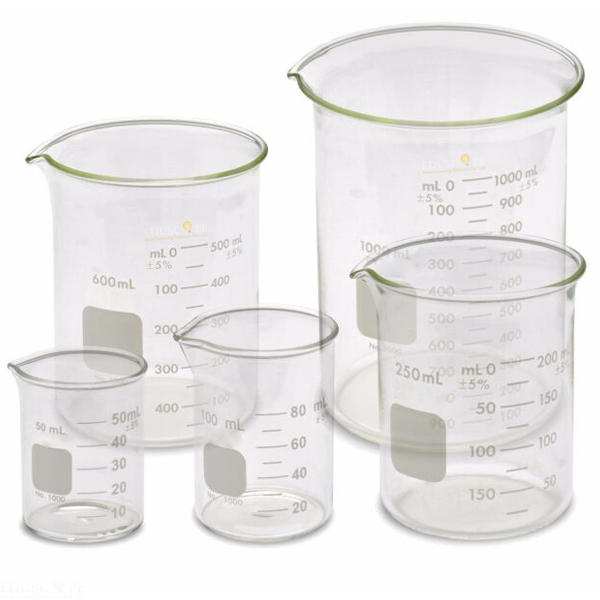 Glass Beaker Set of 5