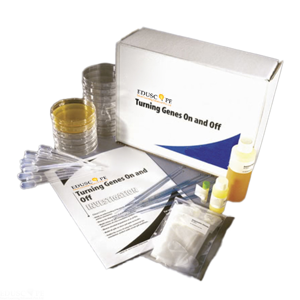 Turning Genes On and Off Lab Investigation