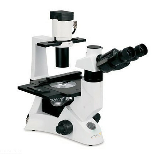 Inverted Microscope