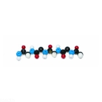 Polypeptide Molecular Model Kit