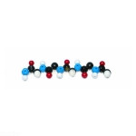 Polypeptide Molecular Model Kit